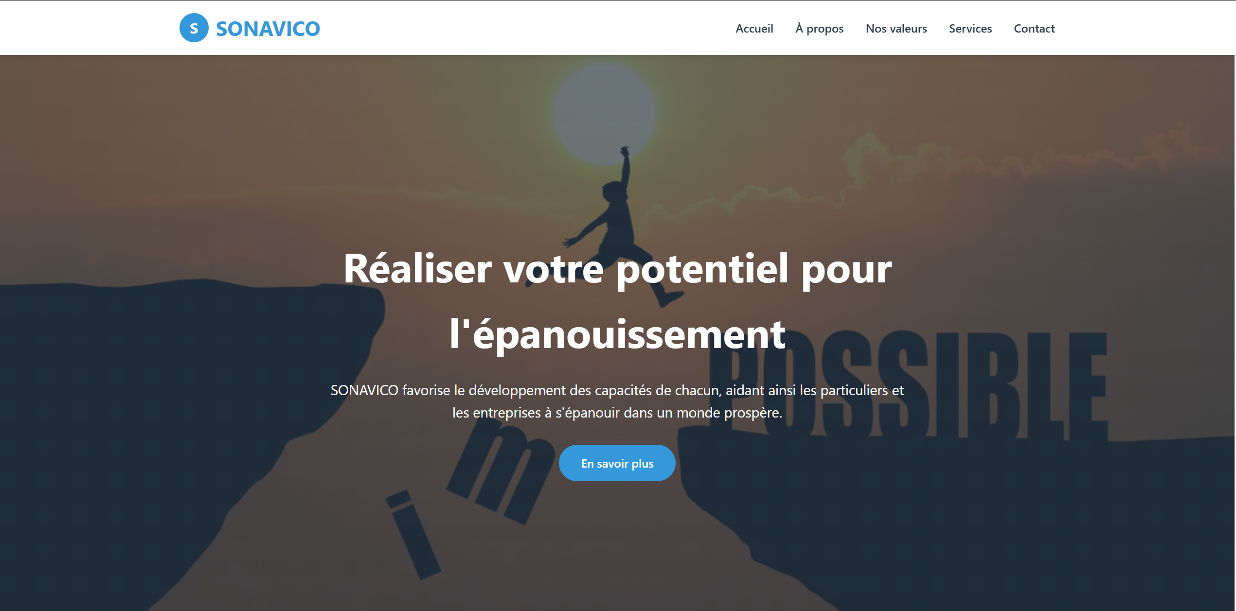 Investement Organization